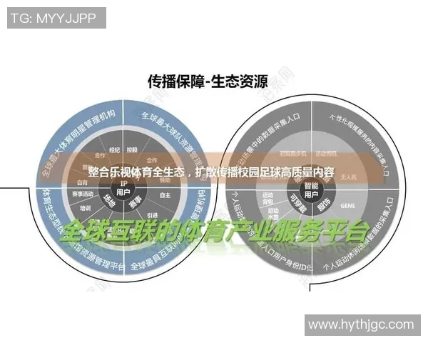 足球明星形象费用对品牌营销的影响与价值分析探讨 足球明星形象费用对品牌营销的影响与价值分析探讨